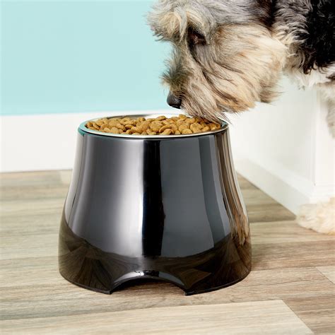 best dog food bowls